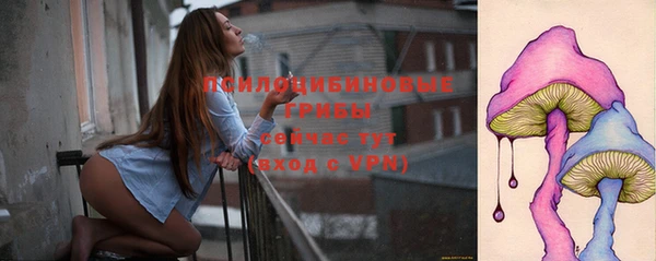 соль курить ск Горняк