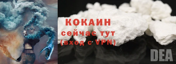 шишки Горнозаводск
