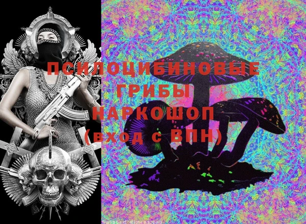 шишки Горнозаводск