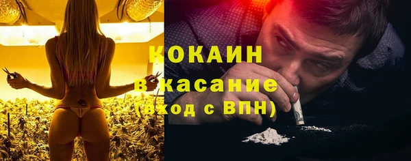 шишки Горнозаводск