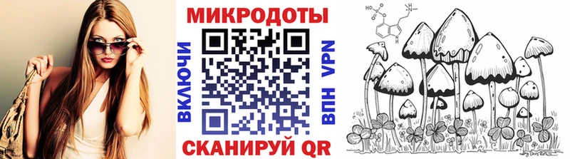 Купить  Канск  Галлюциногенные грибы Cubensis 